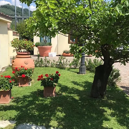 Prunali Massarosa
