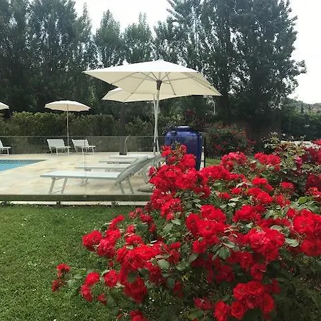 Prunali Appart hôtel Massarosa
