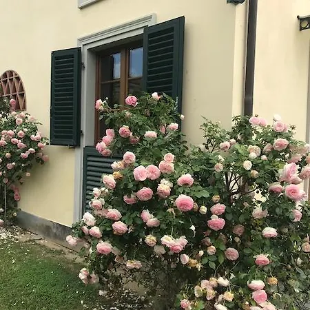 Aparthotel Prunali 4*
