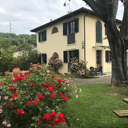 Prunali Aparthotel Massarosa