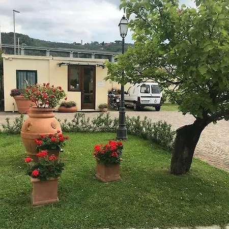 Prunali Massarosa